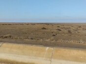 İcarəyə verilir  torpaq 10 000 sot, photo 2 from 2