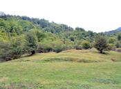 Satılır  torpaq 80 sot, photo 4 from 8