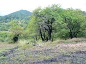 Satılır  torpaq 80 sot, photo 2 from 8