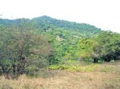 Satılır  torpaq 80 sot, photo 3 from 8