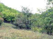 Satılır  torpaq 80 sot, photo 6 from 8