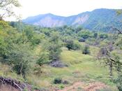 Satılır  torpaq 80 sot, photo 5 from 8