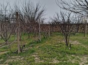 Elan №5846002 - Bakı, Görədil q., 2 sot