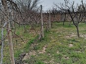 Продаётся  участок 2 сот, пос. Горадил, photo 5 from 5