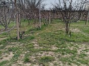 Продаётся  участок 2 сот, пос. Горадил, photo 3 from 5