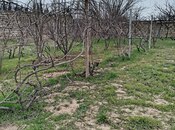 Продаётся  участок 2 сот, пос. Горадил, photo 4 from 5