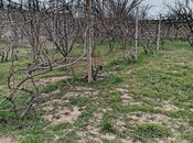 Продаётся  участок 2 сот, пос. Горадил, photo 2 from 5