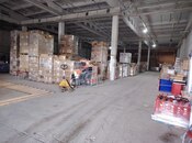 Объявление №5846294 - Баку, пос. Геокмалы, 450 м²