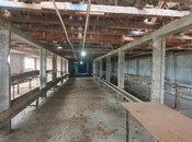 Satılır  torpaq 150 sot, Astara r., photo 2 from 8