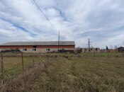 Satılır  torpaq 150 sot, Astara r., photo 3 from 8