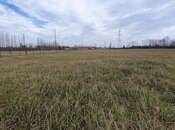 Satılır  torpaq 150 sot, Astara r., photo 8 from 8