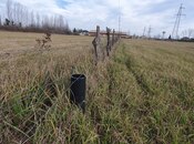 Satılır  torpaq 150 sot, Astara r., photo 7 from 8