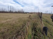 Satılır  torpaq 150 sot, Astara r., photo 6 from 8