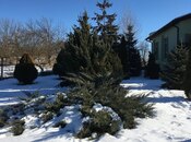 Продаётся 4-комн. дом/дача 300 м², photo 5 from 8