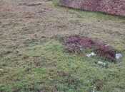 Satılır  torpaq 25 sot, Maştağa q., photo 3 from 5