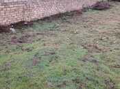 Satılır  torpaq 25 sot, Maştağa q., photo 2 from 5