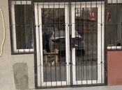 İcarəyə verilir  obyekt 68 m², Nəsimi m., photo 5 from 5