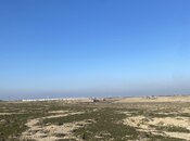 İcarəyə verilir  torpaq 1 000 sot, Pirəkəşkül q., photo 7 from 8