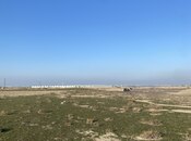 İcarəyə verilir  torpaq 1 000 sot, Pirəkəşkül q., photo 3 from 8