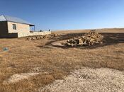 Satılır  torpaq 6 sot, Pirəkəşkül q., photo 2 from 6