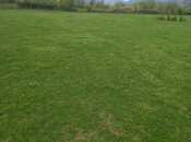 Elan №5848581 - Zaqatala, Zaqatala, 6 sot