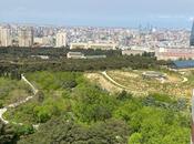 Satılır 4 otaqlı yeni tikili 170 m², Badamdar q., photo 5 from 8