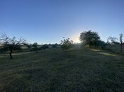 Объявление №5849280 - Губа, Губа, 27 сот