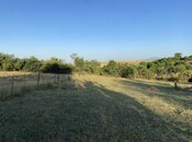 Продаётся  участок 27 сот, photo 5 from 8