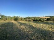 Продаётся  участок 27 сот, photo 7 from 8