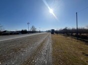 Elan №5849383 - Qəbələ, Qəbələ, 11.5 sot