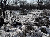 Elan №5849399 - Qəbələ, Qəbələ, 7.5 sot