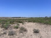 Satılır  torpaq 12 sot, Türkan q., photo 3 from 8