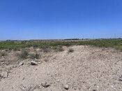 Satılır  torpaq 12 sot, Türkan q., photo 8 from 8