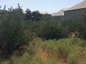 Продаётся  участок 6 сот, пос. Рамана, photo 6 from 8