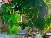 Сдаётся 7-комн. дом/дача 180 м², м. Ахмедлы, photo 2 from 8