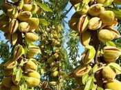 Продаётся  участок 1 300 сот, photo 4 from 8