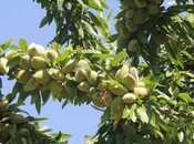 Продаётся  участок 1 300 сот, photo 5 from 8