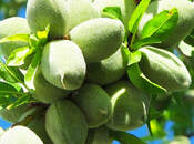 Продаётся  участок 1 300 сот, photo 3 from 8