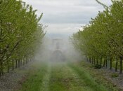 Продаётся  участок 1 300 сот, photo 8 from 8