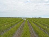 Продаётся  участок 1 300 сот, photo 2 from 8