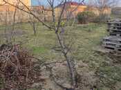 Продаётся  участок 9 сот, пос. Тюркан, photo 5 from 5