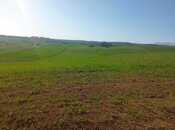 Elan №5851213 - Qusar, Qusar, 175 sot