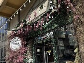 Объявление №5851744 - Баку, м. Гянджлик, 113 м²