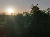 Satılır  torpaq 121 sot, photo 2 from 8