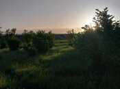 Satılır  torpaq 121 sot, photo 3 from 8