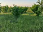 Elan №5851850 - Ağstafa, Ağstafa, 121 sot