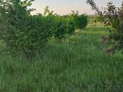 Satılır  torpaq 121 sot, photo 4 from 8