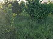 Satılır  torpaq 121 sot, photo 6 from 8