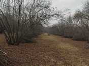 Продаётся  участок 44 сот, photo 4 from 5