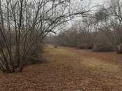 Продаётся  участок 44 сот, photo 2 from 5